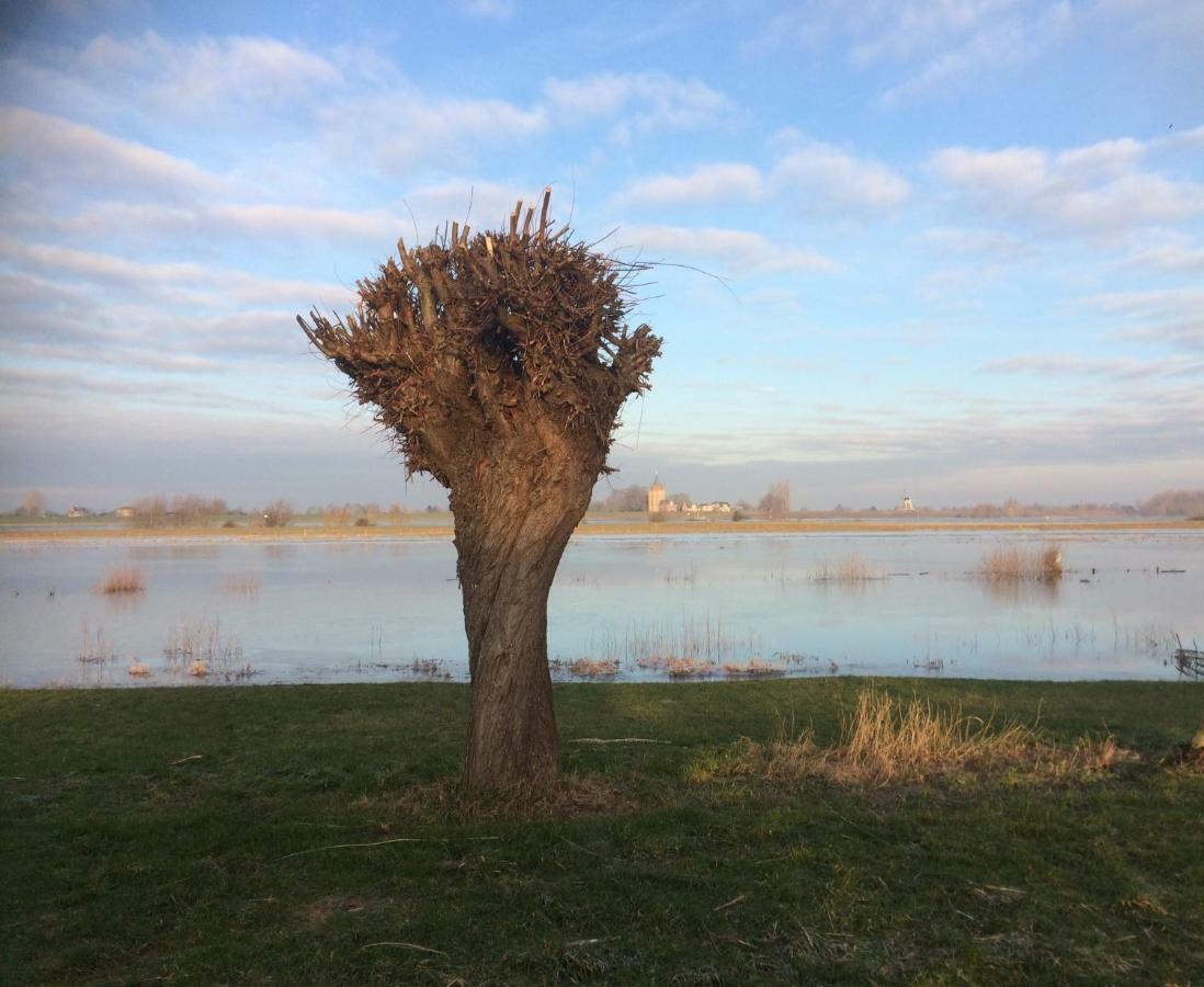 Unique Place On The River Waal Heerewaarden 외부 사진